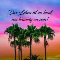 Das Leben ist zu...