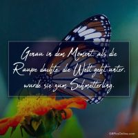 Ein Schmetterling ruht auf einer Blume, ein Symbol für Transformation und neue Anfänge.