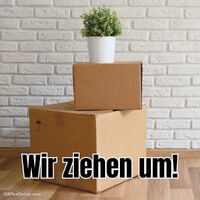 Ein neuer Anfang mit alten Erinnerungen, verpackt in Kartons.
