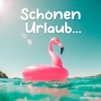 Genieße die Sonne und das Meer, umgeben von herrlichen Blautönen und einem rosa Flamingo.