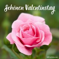 Schönen Valentins...