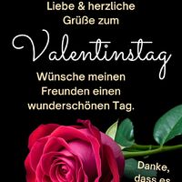 Eine rote Rose reflektiert die Tiefe der Liebe – perfekt für Valentinsgrüße.