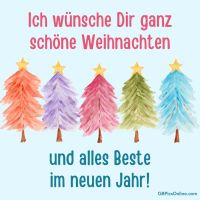 Bunte Weihnachtsbäume vermitteln festliche Stimmung und farbenfrohe Wünsche für das kommende Jahr.