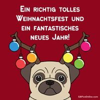 Festlich geschmückter Mops bereitet sich auf die Feierlichkeiten vor.