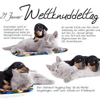 21. Januar - Welt...