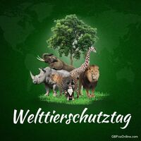 Feiern wir die Vielfalt der wilden Tierwelt und ihren Schutz.