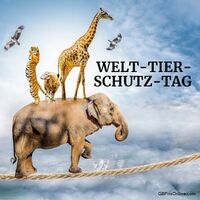 Ein beeindruckendes Gleichgewicht zwischen verschiedenen Tierarten, die Seite an Seite leben.