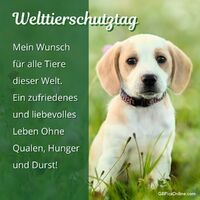 Ein junger Hund genießt die Natur, ein Sinnbild für die Schönheit und Unschuld, die durch Tierschutz bewahrt wird.