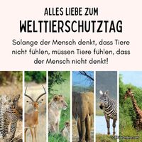 Verschiedene wilde Tiere in ihren natürlichen Lebensräumen, die die Vielfalt und Schönheit der Tierwelt zeigen.
