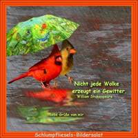Nicht jede Wolke...