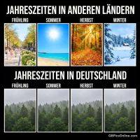 Vergleich der Jahreszeiten: oben sonnige Szenen, unten in allen vier Feldern ein regnerischer Wald in Deutschland