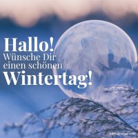 Ein gefrorener Moment der Schönheit, eingefangen in einer Seifenblase an einem kalten Wintertag.