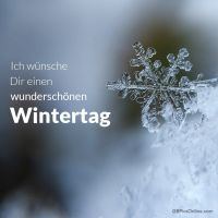 Ein funkelnder Moment des Winters, eingefangen in einem Schneekristall.