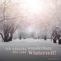 Ein friedlicher Winterspaziergang unter den schneebedeckten Bäumen.