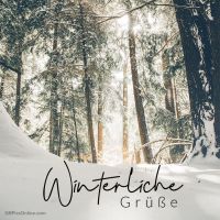 Sonne flimmert durch schneebedeckte Bäume und verwandelt den Wald in ein Winterwunderland.