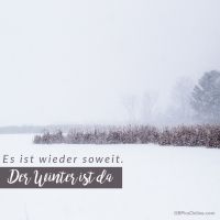 Eine schneeverhangene Landschaft begrüßt die Stille des Winters.