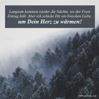 Dichter Nebel zieht durch einen winterlichen Wald und verleiht der Landschaft eine geheimnisvolle Stimmung. Die Bäume sind von Raureif bedeckt und wirken ruhig und still.