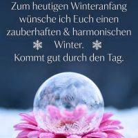 Wintergruß zum 21. Dezember; Schneeflocken-Symbole über einer rosa Blüte mit gefrorener Glaskugel im Schnee