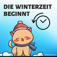 Ein fröhliches Kätzchen begrüßt die kalte Jahreszeit mit einem Lächeln.