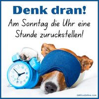 Ein Tierisch Morgenmuffel bereitet sich auf die Zeitumstellung vor.