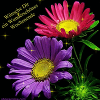 Wünsche Dir ein Wunderschönes Wochenende