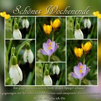 Schönes Wochenend...