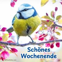 Schönes Wochenende!
