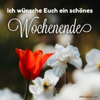 Ich wünsche Euch...