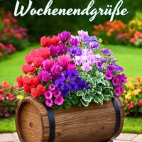 Herzliche Wochene...