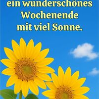 Ich wünsche euch...