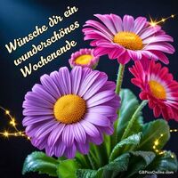 Bunte Blumen stehen im Vordergrund vor einem dunklen Hintergrund und strahlen Frische und Freude aus. Kleine Lichter verleihen der Szene eine zauberhafte Atmosphäre.