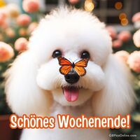 Schönes Wochenende!