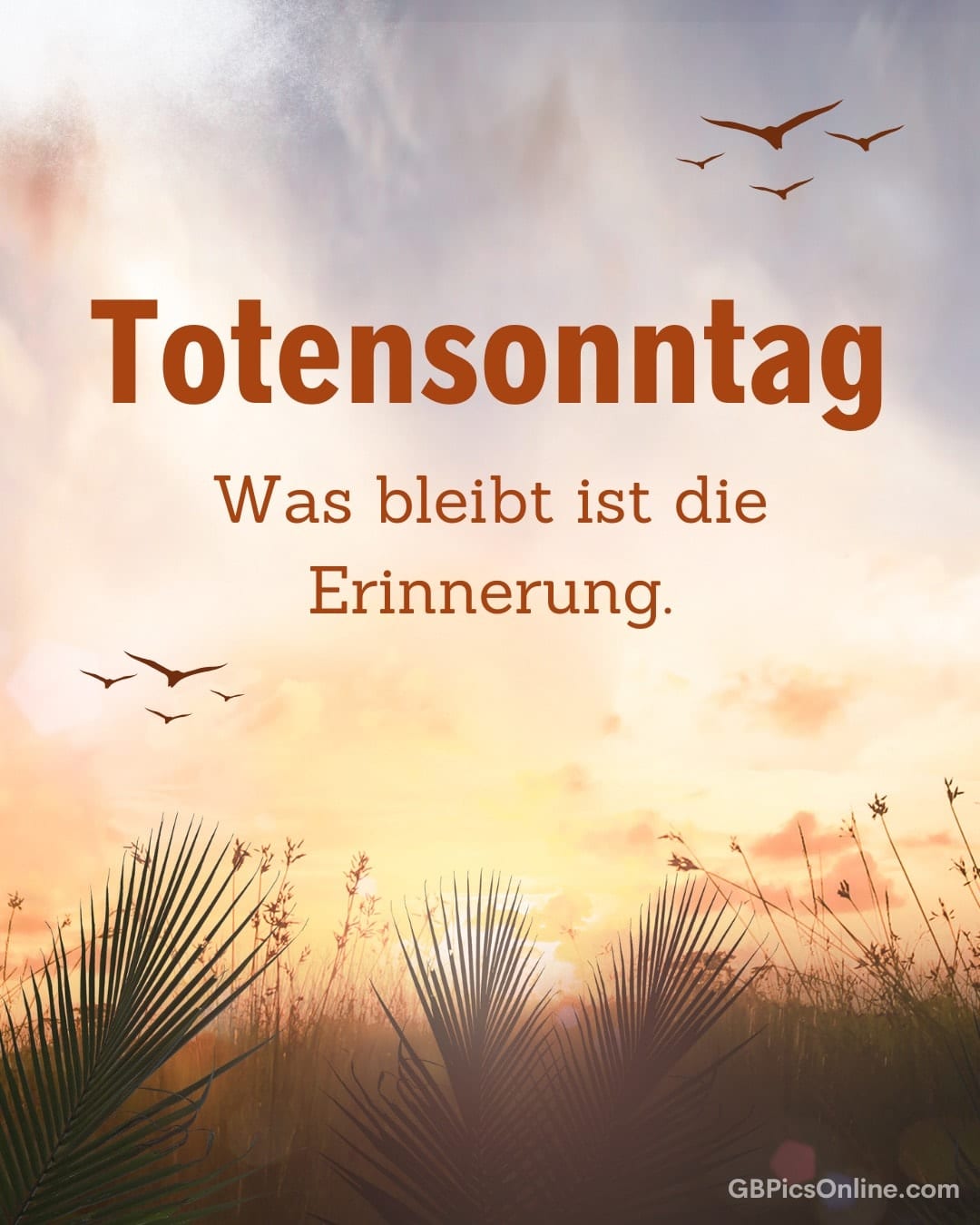 Sonnenuntergangshimmel mit Gras, Vögeln und dem Text „Totensonntag - Was bleibt ist die Erinnerung.“