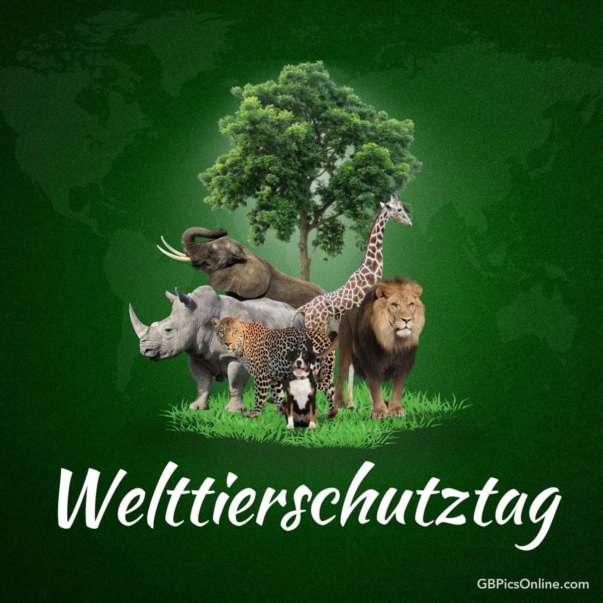 Plakat zeigt Nashorn, Elefant, Giraffe, Leopard und Löwe zur Feier des Welttierschutztages
